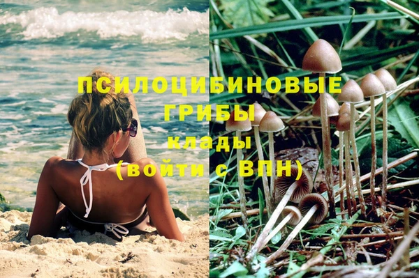 хмурый Абинск
