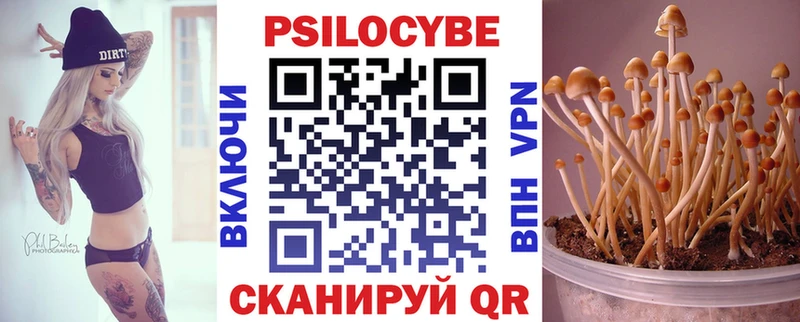 дарнет шоп  Ковдор  blacksprut онион  Галлюциногенные грибы MAGIC MUSHROOMS 
